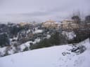 Fauglia