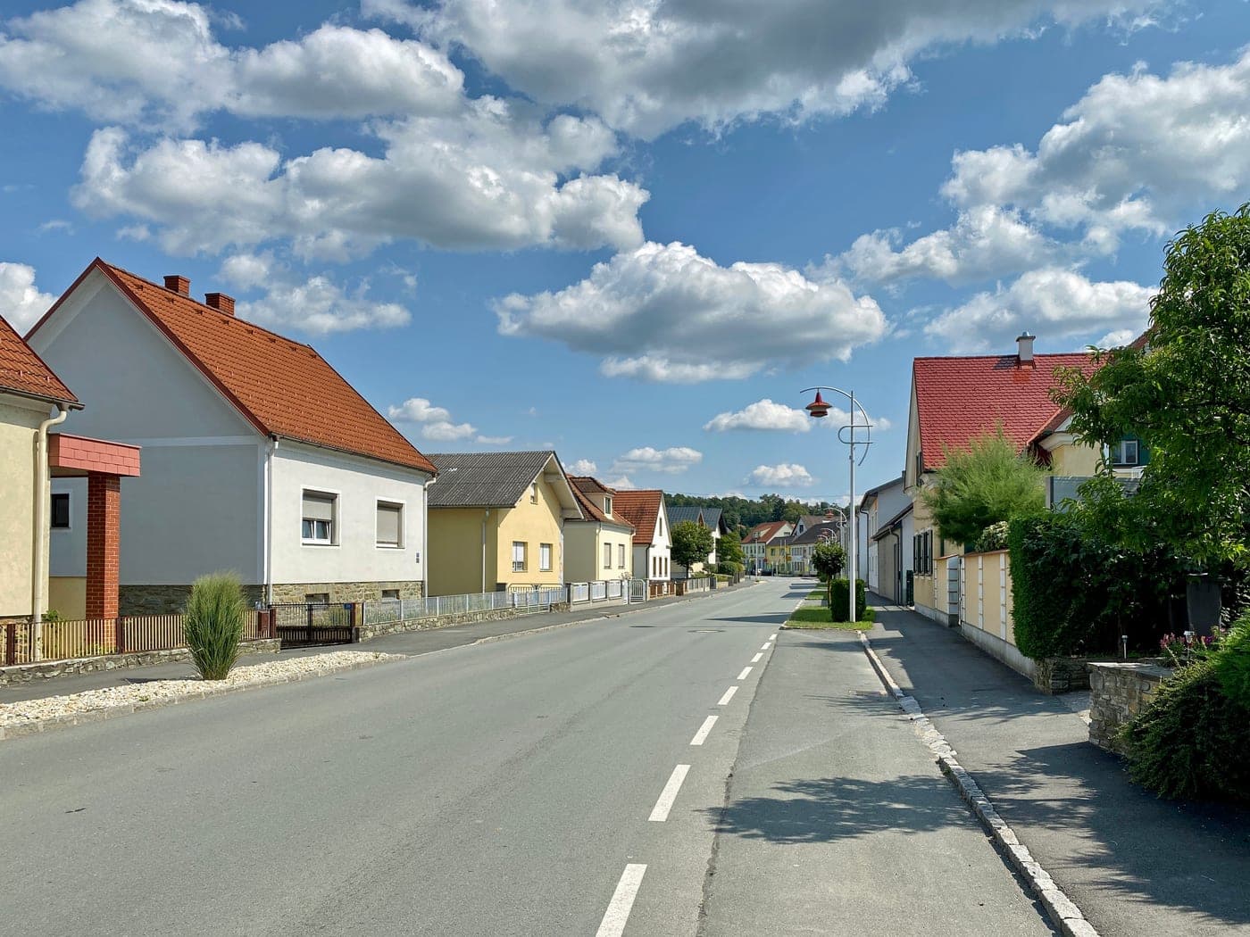 Kohfidisch