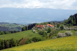 Karyntia