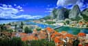 Omis
