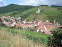 Katzenthal
