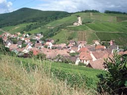 Alzacja