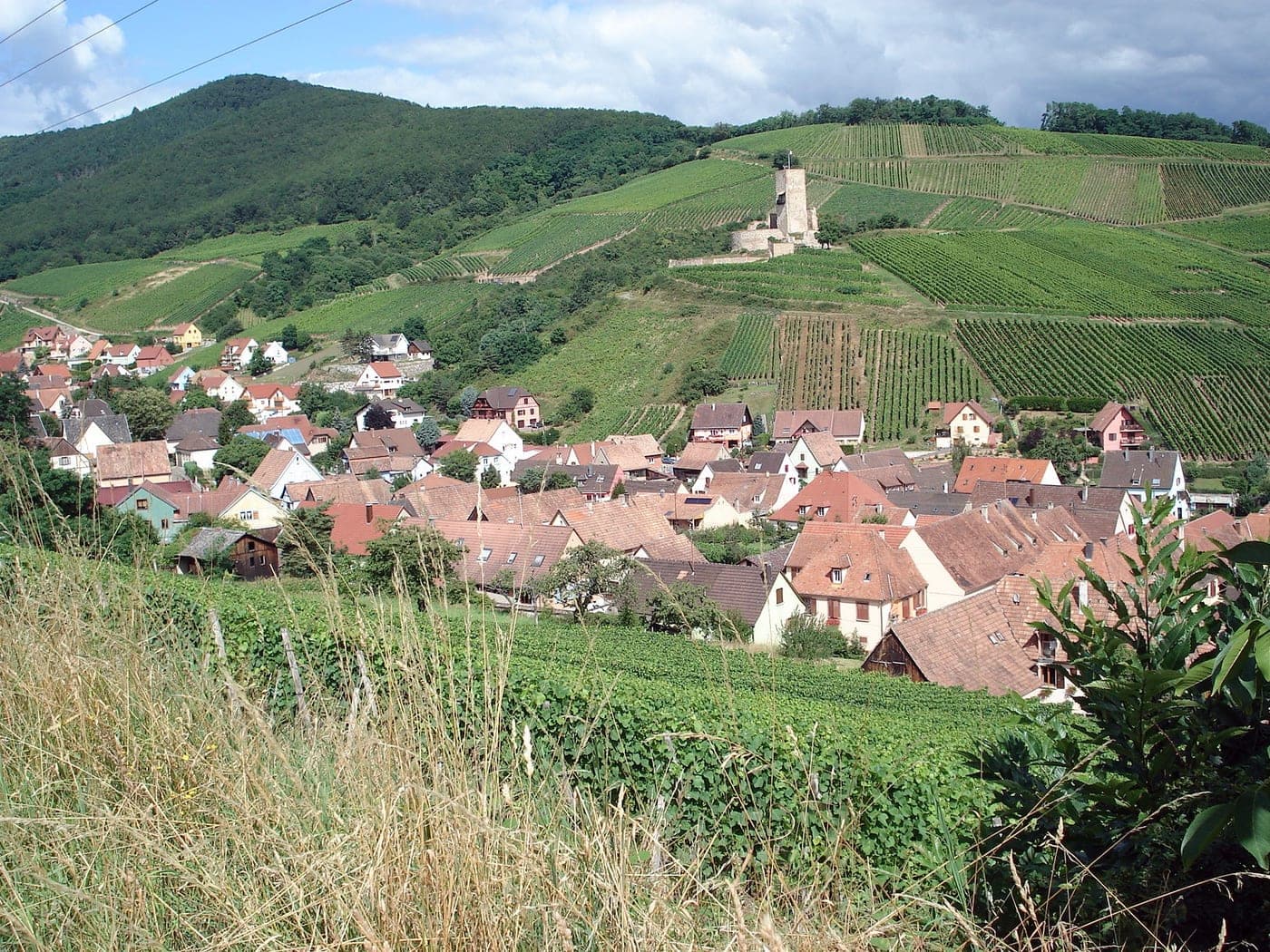Katzenthal