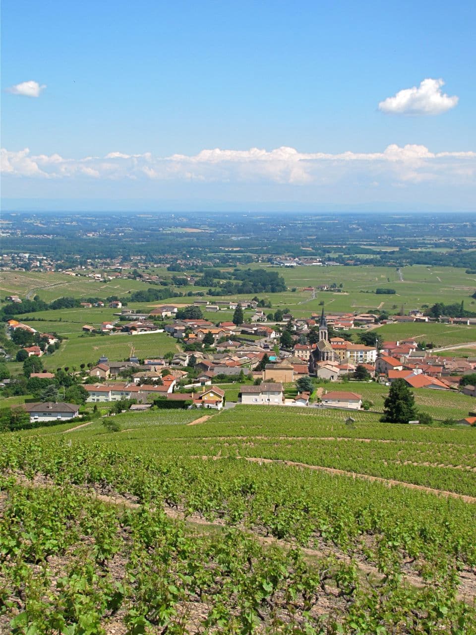Fleurie