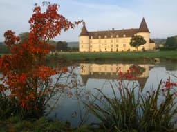 Bourgogne-Franche-Comté