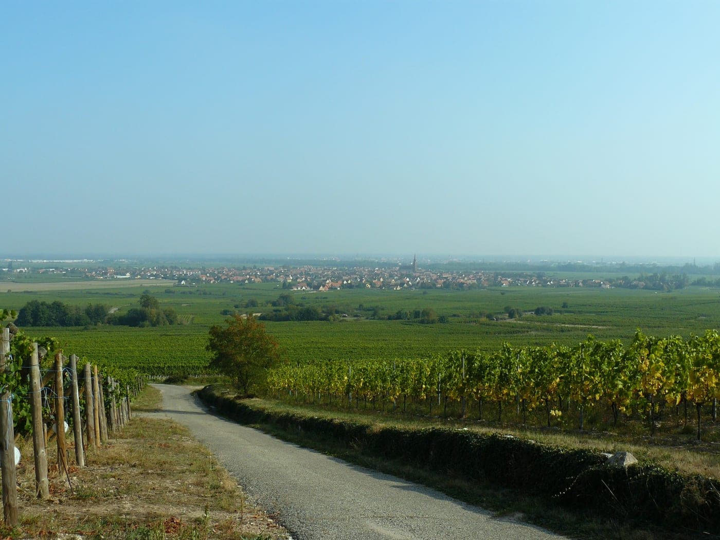 Scherwiller