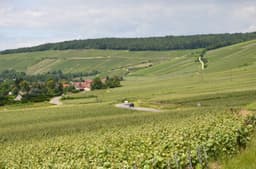 Hauts-de-France