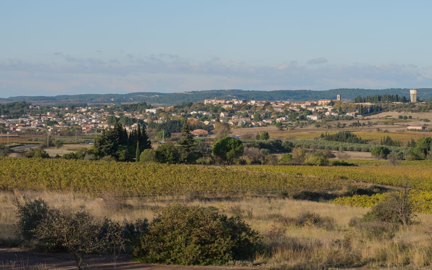 Villeveyrac
