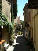 Bormes-les-Mimosas