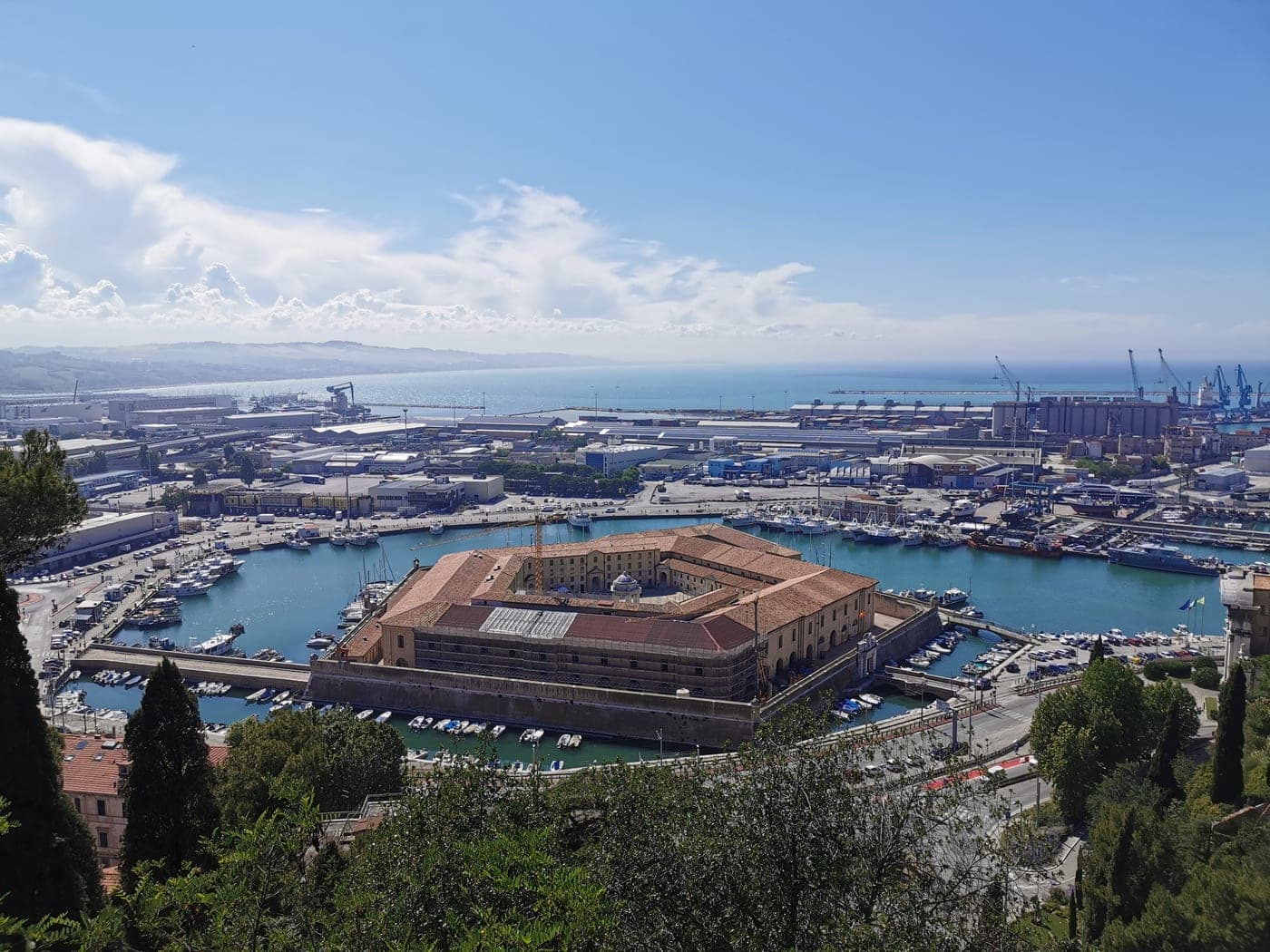 Ancona