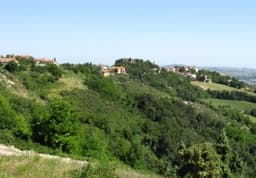 Marche