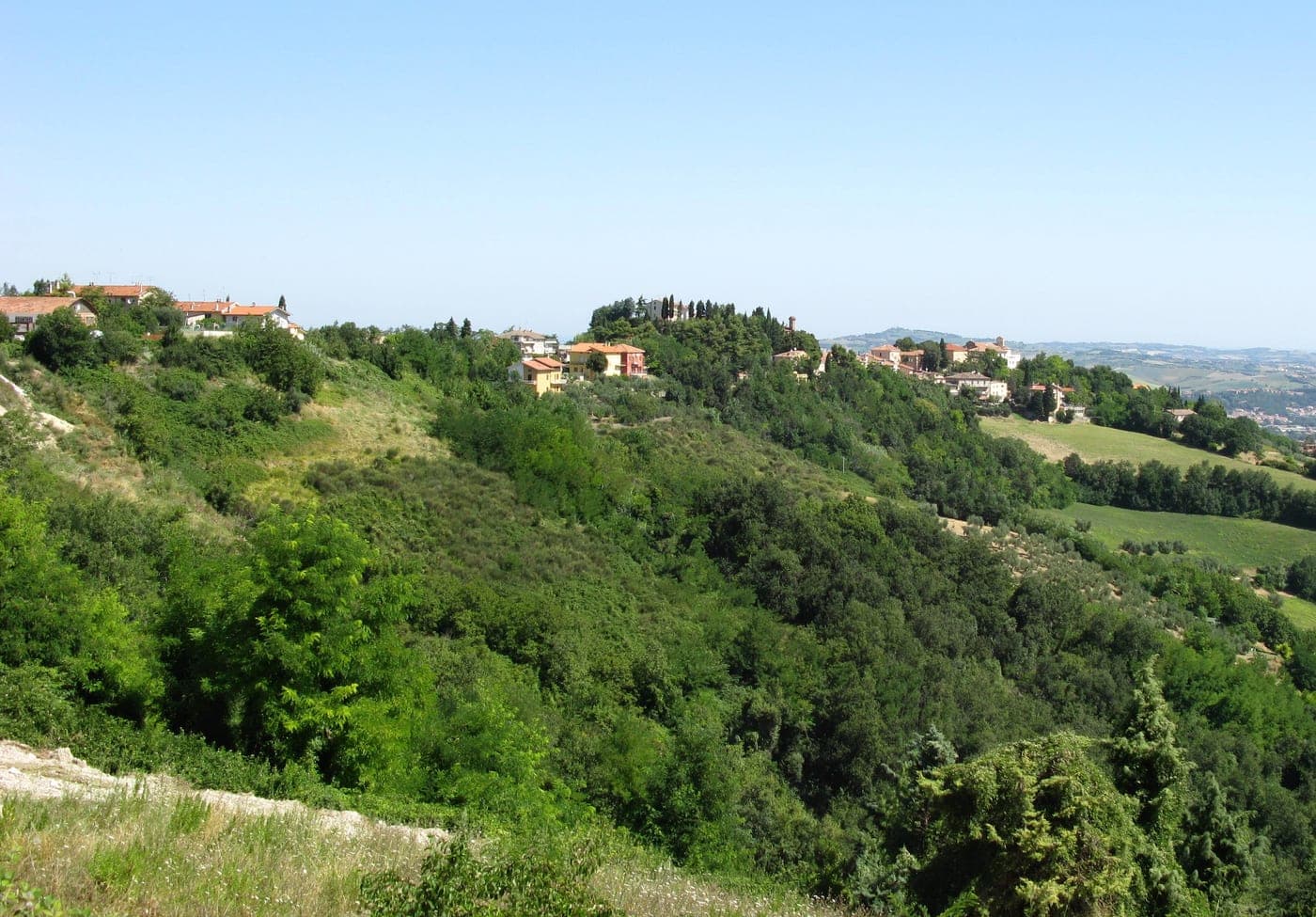 Marche