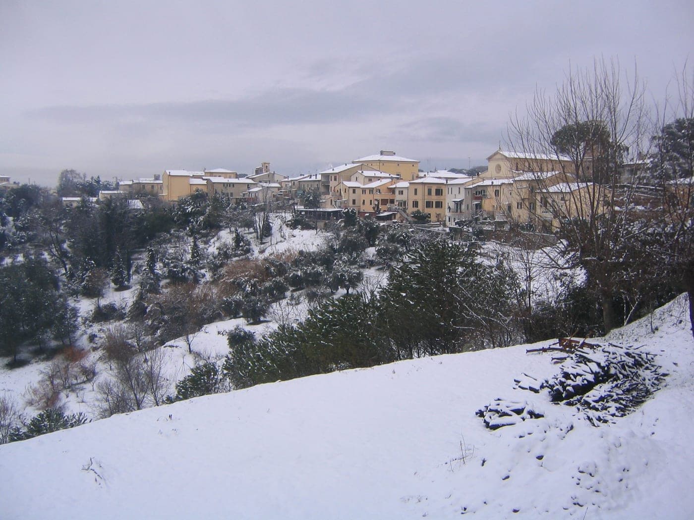 Fauglia