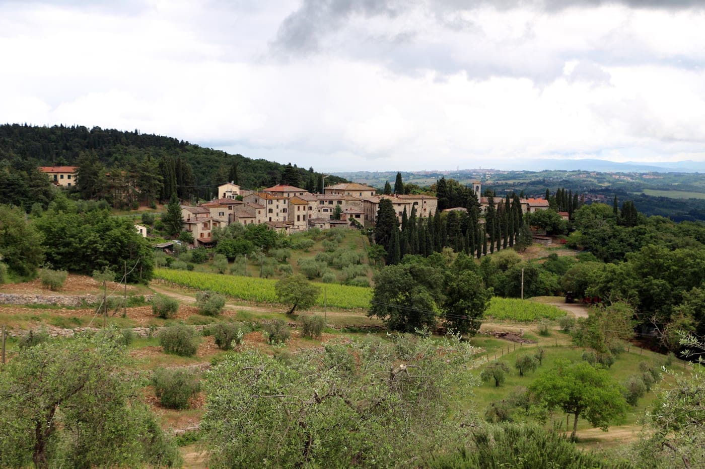 Fonterutoli