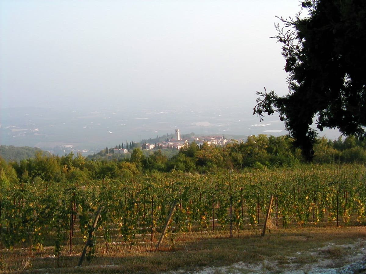 Marano di Valpolicella