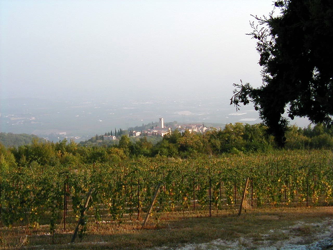 Marano di Valpolicella
