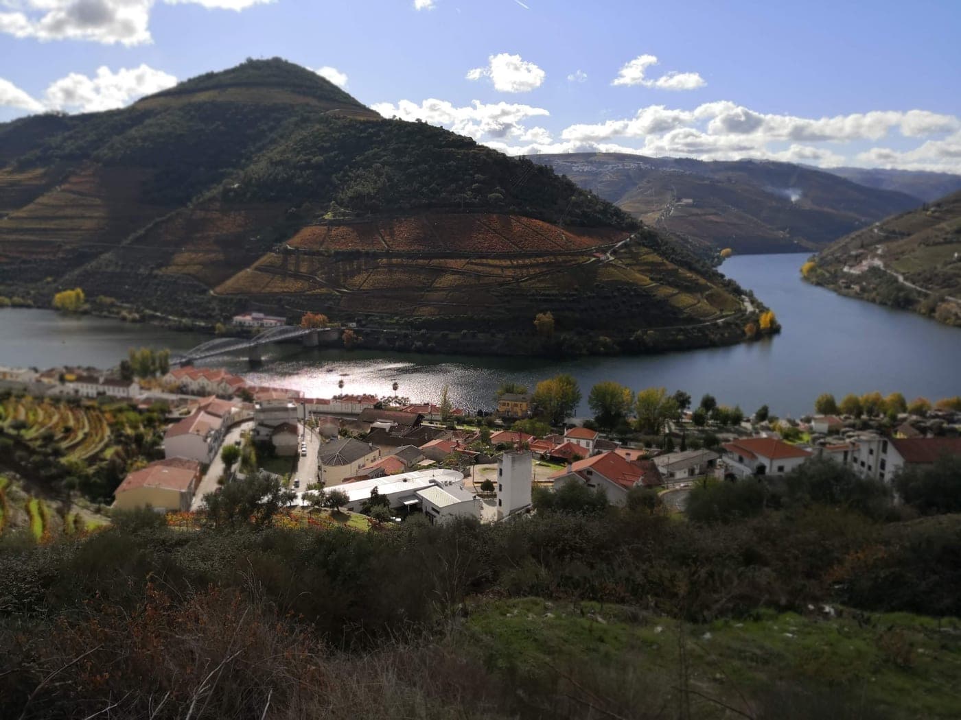 Alijó