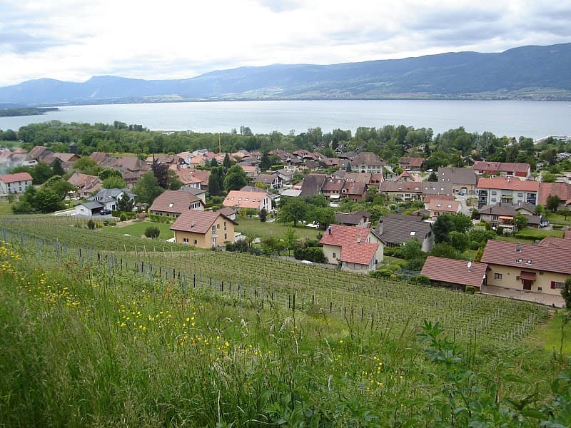 Fribourg