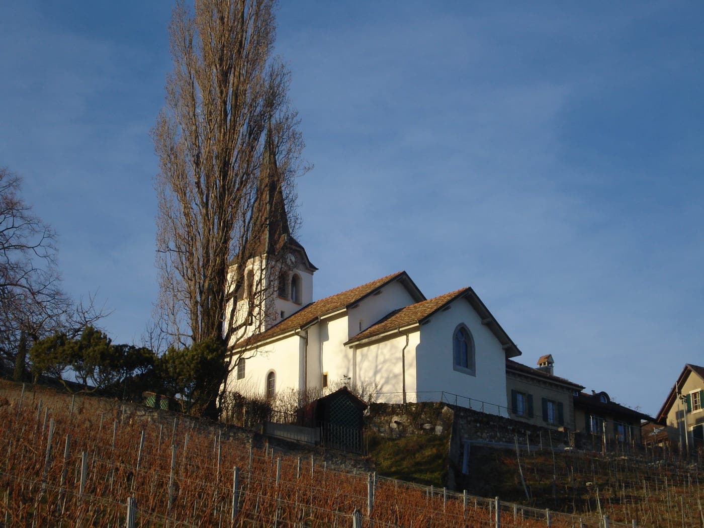 Féchy